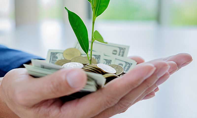 Tampa Real Estate Agents – Homes for Sale in Tampa Bay | Team Tate Homes – Invest With Confidence Tampa Real Estate Agents – Homes for Sale in Tampa Bay | Team Tate Homes - Invest With Confidence