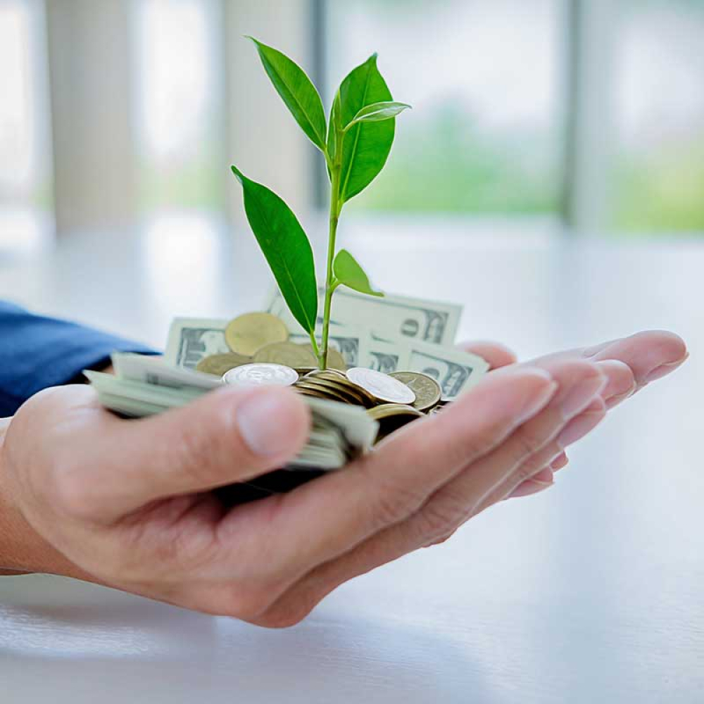 Tampa Real Estate Agents – Homes for Sale in Tampa Bay | Team Tate Homes - Invest With Confidence